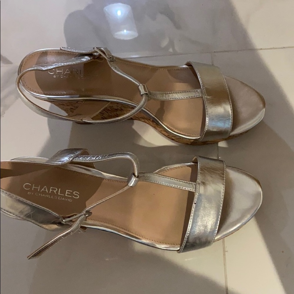 Silver Wedges - image 4